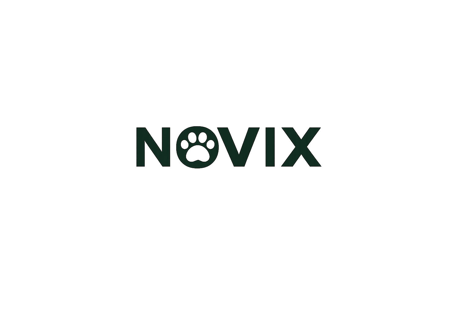 Novix Store